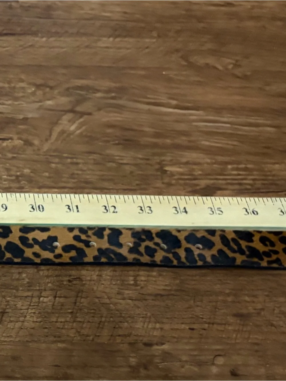 Rag & Bone Leopard Print Haircalf Belt with Silver Buckle Sz S